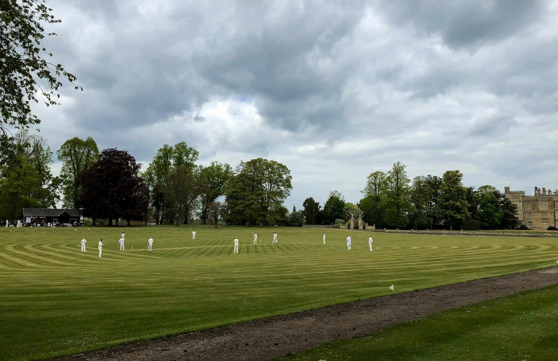 Cricket action